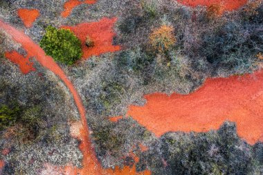 Gant, Macaristan - Terk edilmiş boksit madeninin sıcak kırmızı ve turuncu renkleriyle ve günbatımında ağaçla yatay hava aracı görüntüsü. Kırmızı boksit dokusu