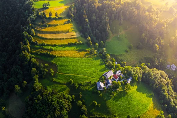 Bukovo Slovenya Güneşli Bir Yaz Sabahı Slovenya Nın Bukovo Kenti — Stok fotoğraf