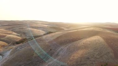 Kırsal nehir ve ekinlerin geniş bir 4K görüntüsü. Altın saat renkleri manzarayı yumuşak ışıkla doldurur.