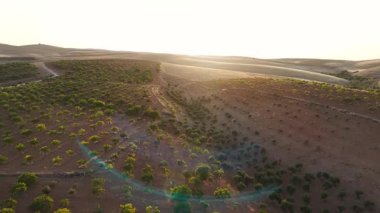 Altın saat ışığı 4K 'da mahsulü ve nehri vuracak. İnsansız hava aracı kırsal alanda sıcak bir ton yakalar.