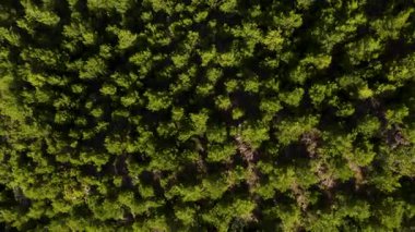 Nehrin üzerinde gün batımı tarlaları, bahçeleri ve dağları geçiyor..