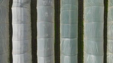 Hava açık alanlarda eski çiftlik yapılarını yakalıyor.