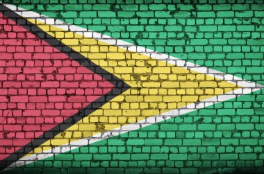 Guyana bayrağı eski bir tuğla duvara boyalı