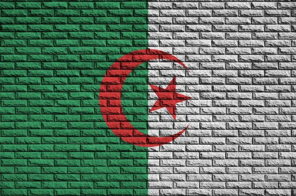 Σημαία Της Αλγερίας Είναι Ζωγραφισμένες Πάνω Ένα Παλιό Τοίχο Από — Φωτογραφία Αρχείου