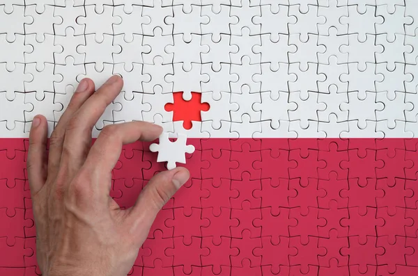 Bandeira Polônia Retratada Quebra Cabeça Que Mão Homem Completa Para — Fotografia de Stock