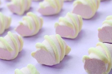 Mor Kağıt arka plan üzerinde renkli hatmi ortaya koydu. yaratıcı dokulu model. Perspektif makro çekim.