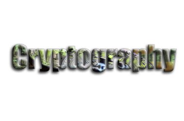 Şifreleme. Bir doku bir grafik hızlandırıcı ekran kartı üzerinde birkaç bitcoins tasvir fotoğrafçılığın yazıt vardır.