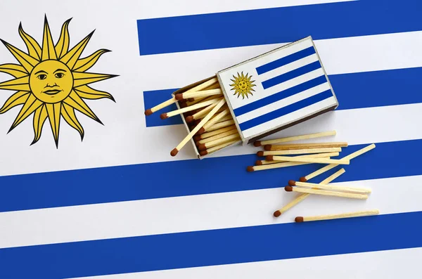 Флаг Уругвая Показан Открытой Спичечной Коробке Которой Выпадают Несколько Спичек — стоковое фото