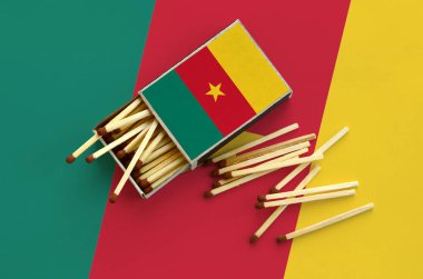 Kamerun bayrağı bir kibrit kutusu içinden birkaç sonbahar eşleşir ve büyük bir bayrak üzerinde yatıyor açık gösterilir.