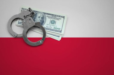 Polonya bayrağı ile kelepçe ve a bohça-in dolar. Hukuk ve hırsızlık suçları kırılma kavramı.