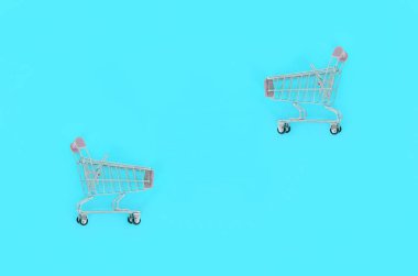 Alışveriş bağımlılığı, sevgilisi ya da Alışverişkoliğin kavramı alışveriş. Küçük boş alışveriş sepeti bir pastel renkli kağıt arka plan üzerinde yatıyor. Düz yatıyordu en az kompozisyon, üstten görünüm