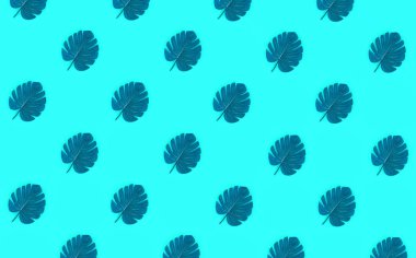 Pastel renkli kağıt üzerinde tropikal palmiye monstera yaprakları yatıyor. Doğa yaz konsepti desen. Düz yatıyordu kompozisyon. Üstten görünüm