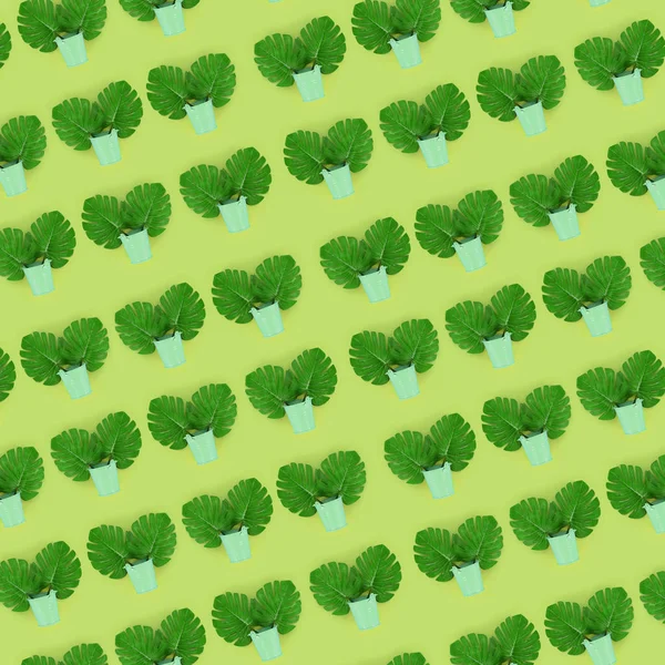 열 대 팜 monstera 잎 색된 바탕에 파스텔 pails에 놓여 있습니다. 평평 하다 유행 최소한의 패턴입니다. 상위 뷰 — 스톡 사진
