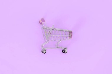 Alışveriş bağımlılığı, sevgilisi ya da Alışverişkoliğin kavramı alışveriş. Küçük boş alışveriş sepeti bir pastel renkli kağıt arka plan üzerinde yatıyor. Düz yatıyordu en az kompozisyon, üstten görünüm