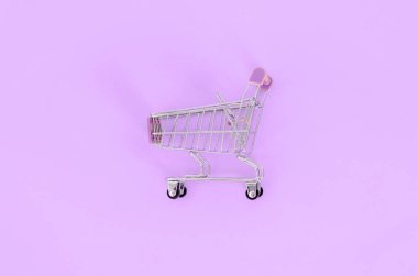 Alışveriş bağımlılığı, sevgilisi ya da Alışverişkoliğin kavramı alışveriş. Küçük boş alışveriş sepeti bir pastel renkli kağıt arka plan üzerinde yatıyor. Düz yatıyordu en az kompozisyon, üstten görünüm