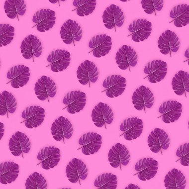 Pastel renkli kağıt üzerinde tropikal palmiye monstera yaprakları yatıyor. Doğa yaz konsepti desen. Düz yatıyordu kompozisyon. Üstten görünüm