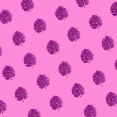 Pastel renkli kağıt üzerinde tropikal palmiye monstera yaprakları yatıyor. Doğa yaz konsepti desen. Düz yatıyordu kompozisyon. Üstten görünüm