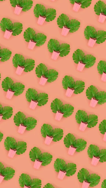 Tropical palm monstera leaves lies in a pastel pails on a colored background. Flat lay trendy minimal pattern. Top view