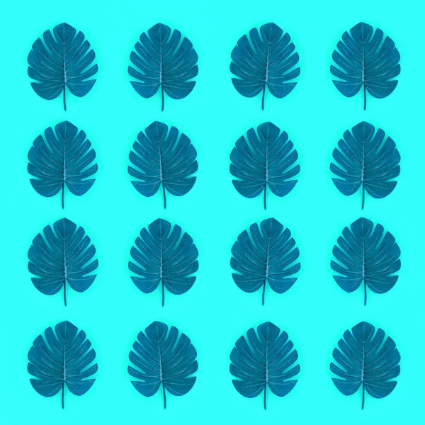 Tropical palm monstera leaves lies on a pastel colored paper. Nature summer concept pattern. Flat lay composition. Top view