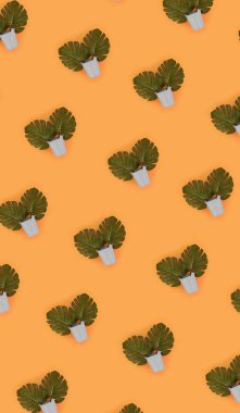 Tropikal palmiye monstera yaprakları renkli bir arka plan üzerinde pastel bir kova yatıyor. Düz yatıyordu trendy en az desen. Üstten görünüm