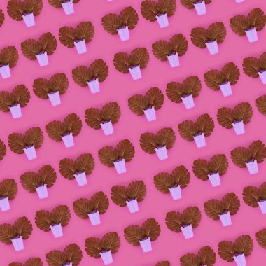 Tropikal palmiye monstera yaprakları renkli bir arka plan üzerinde pastel bir kova yatıyor. Düz yatıyordu trendy en az desen. Üstten görünüm