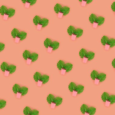 Tropikal palmiye monstera yaprakları renkli bir arka plan üzerinde pastel bir kova yatıyor. Düz yatıyordu trendy en az desen. Üstten görünüm