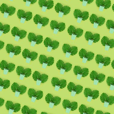 Tropikal palmiye monstera yaprakları renkli bir arka plan üzerinde pastel bir kova yatıyor. Düz yatıyordu trendy en az desen. Üstten görünüm