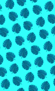 Pastel renkli kağıt üzerinde tropikal palmiye monstera yaprakları yatıyor. Doğa yaz konsepti desen. Düz yatıyordu kompozisyon. Üstten görünüm