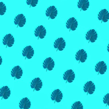Pastel renkli kağıt üzerinde tropikal palmiye monstera yaprakları yatıyor. Doğa yaz konsepti desen. Düz yatıyordu kompozisyon. Üstten görünüm