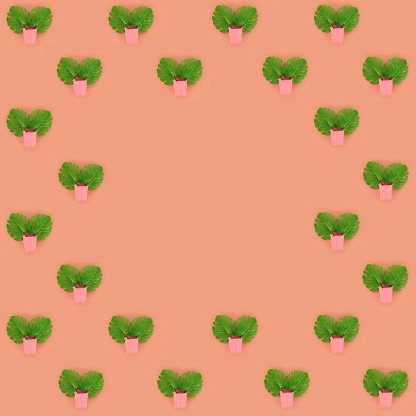 Tropical palm monstera leaves lies in a pastel pails on a colored background. Flat lay trendy minimal pattern. Top view