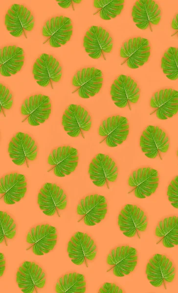 Tropical palm monstera leaves lies on a pastel colored paper. Nature summer concept pattern. Flat lay composition. Top view