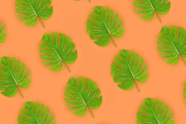 Tropical palm monstera leaves lies on a pastel colored paper. Nature summer concept pattern. Flat lay composition. Top view