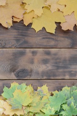 Arka plan koyu kahverengi renk doğal ahşap kurullarında yüzeyinde çok düşmüş sonbahar sararma bileşimi bırakır