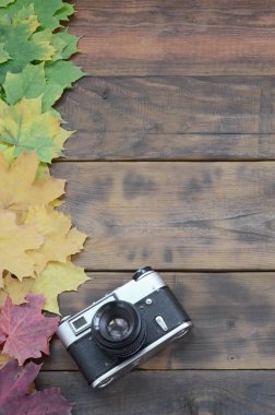 Arka plan koyu kahverengi renk doğal ahşap kurullarında yüzeyine düşen sonbahar sararma kümesi arasında eski fotoğraf makinesi bırakır