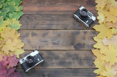 Bir arka plan yüzeyi koyu kahverengi renk doğal ahşap kurulların düşen sonbahar yaprakları sararma kümesi arasında iki eski fotoğraf makinesi