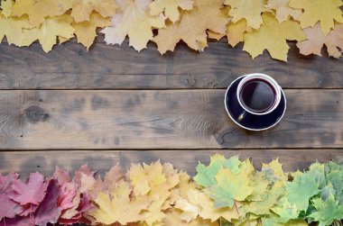 Arka plan koyu kahverengi renk doğal ahşap kurullarında yüzeyinde düşmüş sonbahar sararma kümesi arasında çay yaprakları