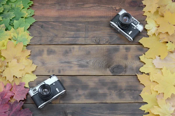 濃いブラウン色の天然木の板の背景面に落ちた秋葉を黄変のセットの間で つの古いカメラ — ストック写真