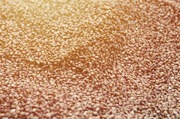 Background Texture Large Pile Buckwheat Many Buckwheat Grains Close Daylight — Stock Photo, Image