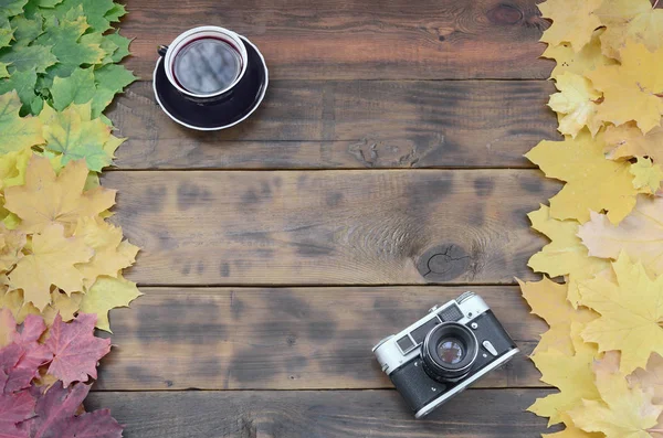 Cup Tea Old Camera Set Yellowing Fallen Autumn Leaves Background — Stock Photo, Image