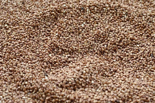 Background Texture Large Pile Buckwheat Many Buckwheat Grains Close Daylight — Stock Photo, Image