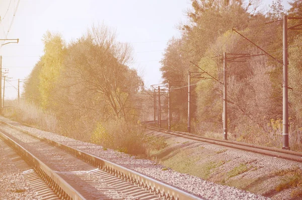 Autumn Industrial Landscape Railway Receding Distance Green Yellow Autumn Trees — Stock Photo, Image