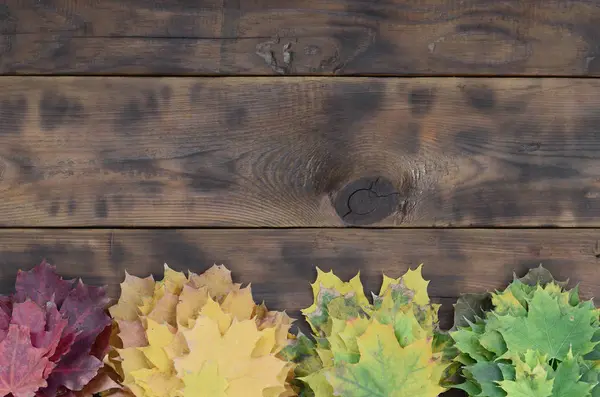 Zusammensetzung Vieler Vergilbter Herbstblätter Auf Einer Hintergrundfläche Aus Natürlichen Holzbrettern — Stockfoto