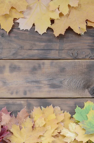 Zusammensetzung Vieler Vergilbter Herbstblätter Auf Einer Hintergrundfläche Aus Natürlichen Holzbrettern — Stockfoto