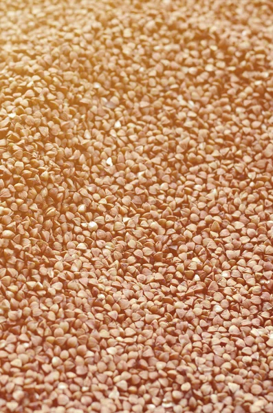 Background Texture Large Pile Buckwheat Many Buckwheat Grains Close Daylight — Stock Photo, Image