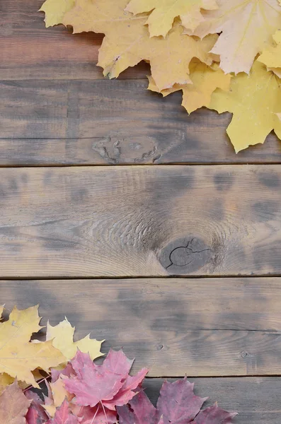 Zusammensetzung Vieler Vergilbter Herbstblätter Auf Einer Hintergrundfläche Aus Natürlichen Holzbrettern — Stockfoto