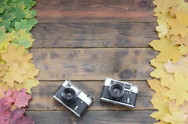 Duas Velhas Câmeras Entre Grupo Folhas Outono Caídas Amarelando Uma — Fotografia de Stock