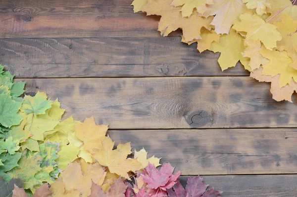 Samenstelling Van Veel Gevallen Herfst Vergeling Verlaat Het Oppervlak Van — Stockfoto