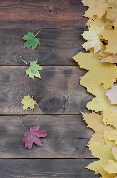 Einige Der Gelblichen Herbstblätter Verschiedenen Farben Auf Der Hintergrundoberfläche Natürlicher — Stockfoto