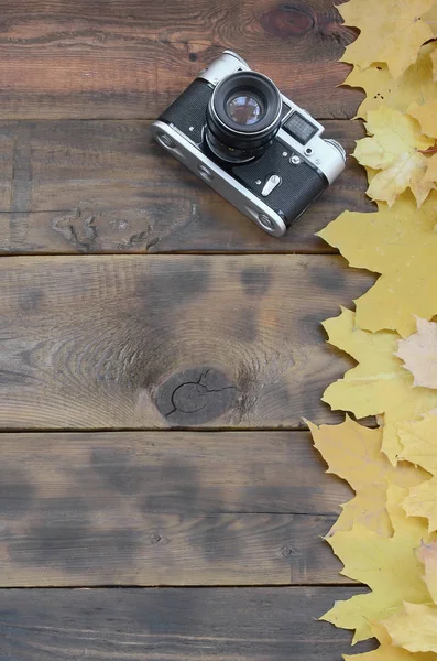 Oude Camera Onder Een Aantal Gevallen Herfst Vergeling Verlaat Het — Stockfoto