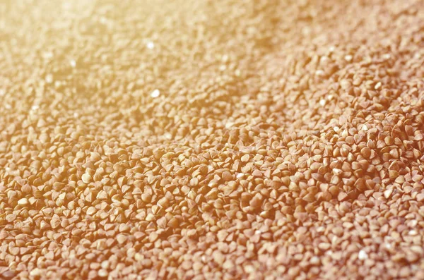 Background Texture Large Pile Buckwheat Many Buckwheat Grains Close Daylight — Stock Photo, Image